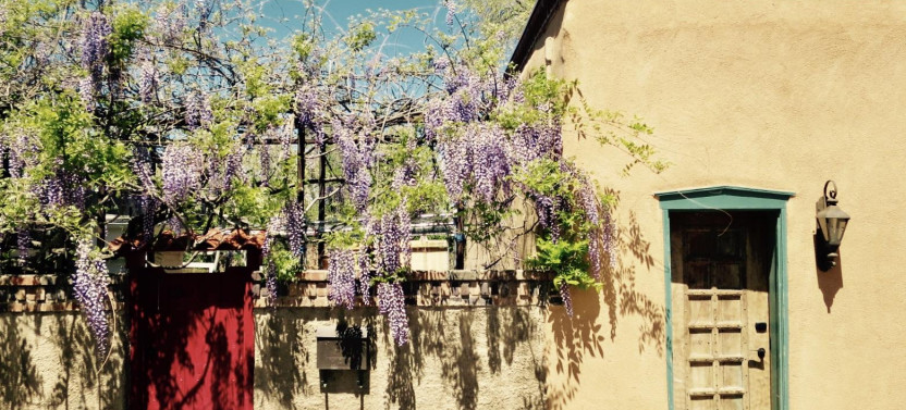 Santa Fe Historic Architectural & Interiors Walking + Wine Tour