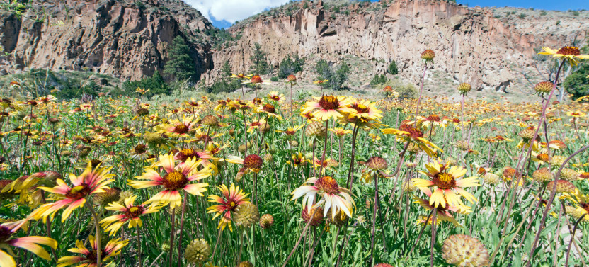 Small Group Hiking Tour in Bandelier National Monument