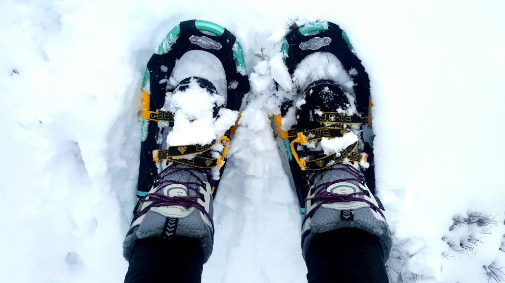 Taos Backcountry Snowshoeing Day Tour Taos Project Expedition