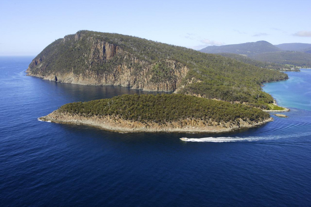 3-Hour Bruny Island Wilderness Cruise from Kettering