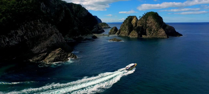Bruny Island Wilderness Cruise from Kettering