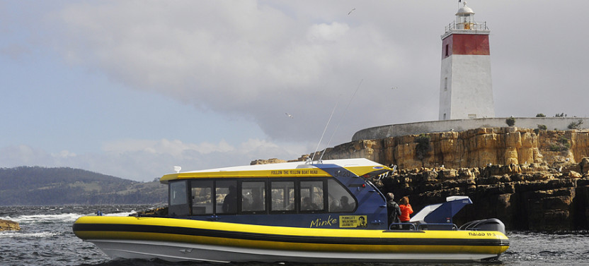 2.5-Hour Iron Pot Cruise from Hobart