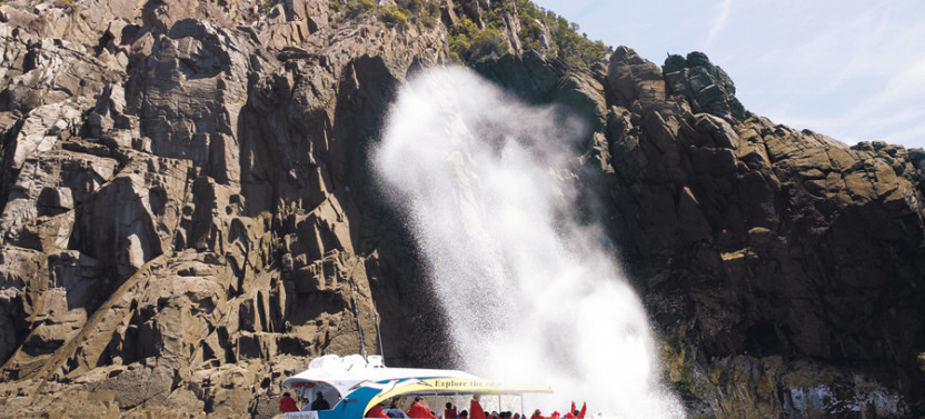 Bruny Island Wilderness Cruise from Adventure Bay