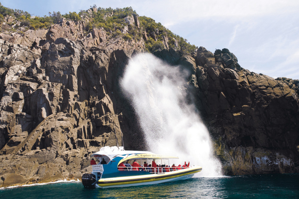 3-Hour Bruny Island Wilderness Cruise from Adventure Bay