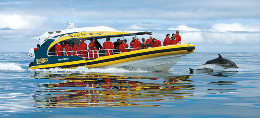 Full Day Bruny Island Tour with Wilderness Cruise, from Hobart