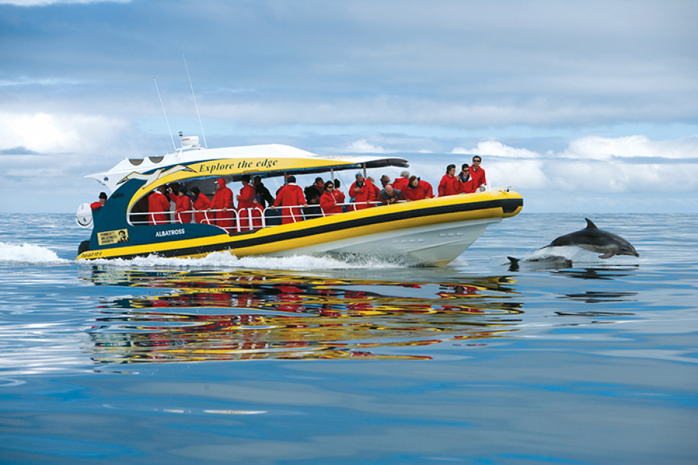 Full Day Bruny Island Tour with 3-Hour Cruise, from Hobart