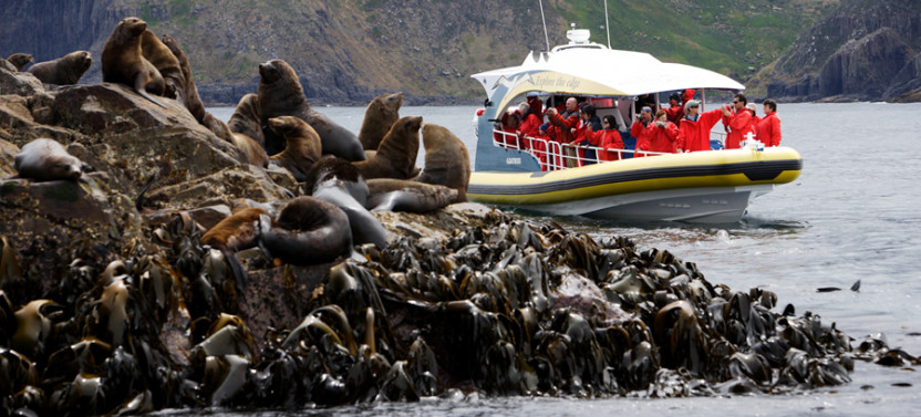 Full Day Bruny Island Tour with Wilderness Cruise, from Hobart