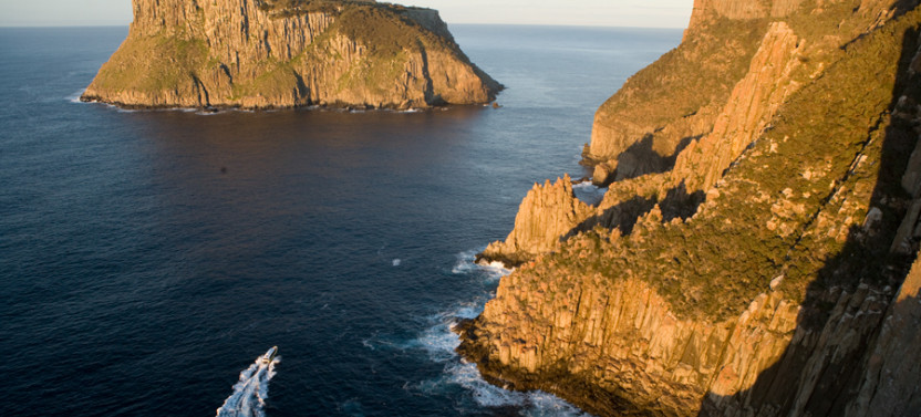 Tasman Island Cruise & Sightseeing from Hobart + Devil Park
