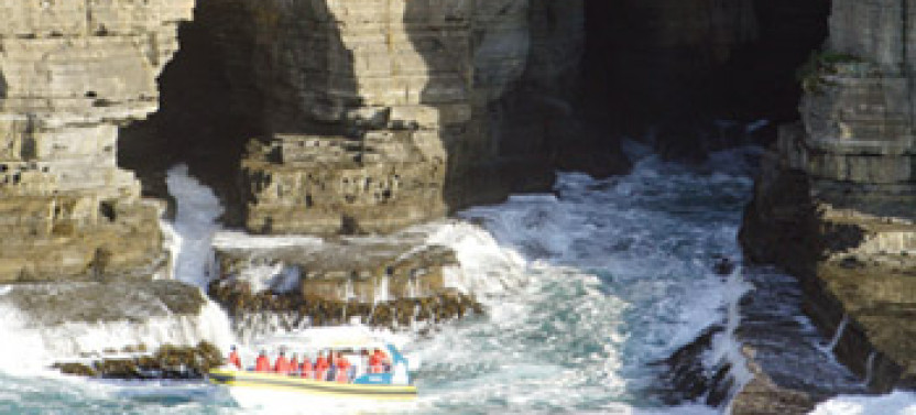 Tasman Island Wilderness Cruise