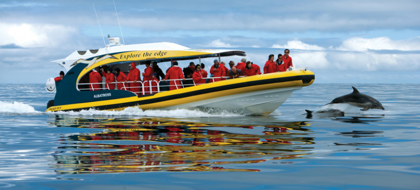 Tasman Island Wilderness Cruise