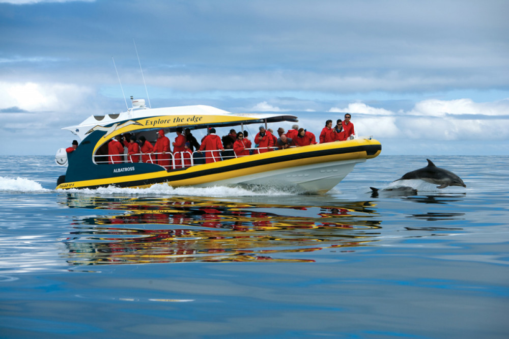 Tasman Island 3-Hour Wilderness Cruise