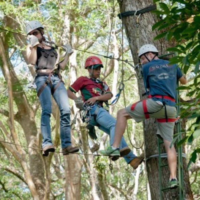Canopy Adventure