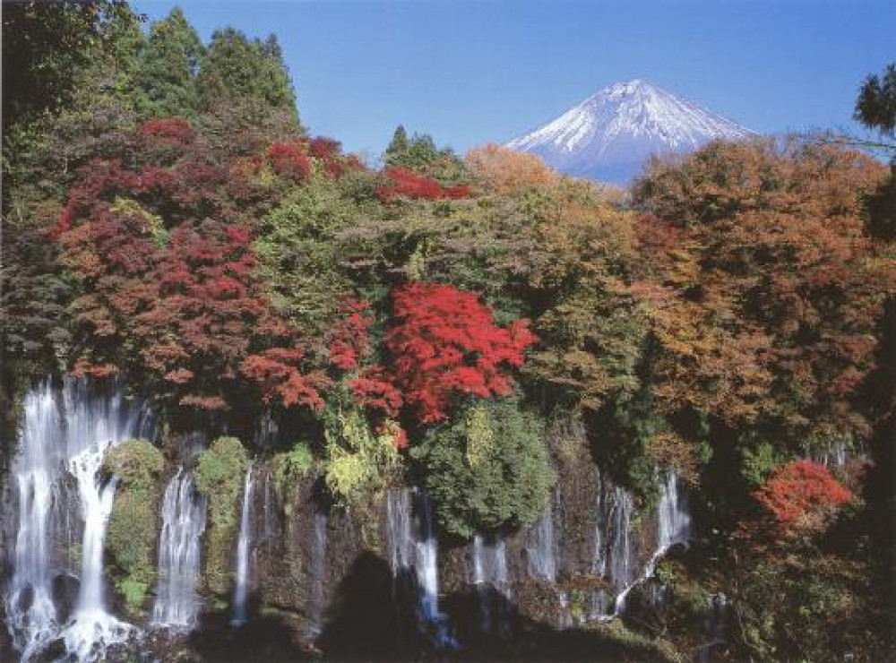 The Best Mt.fuji Area Tour From JR Shizuoka Station