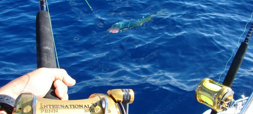 Private Shore Excursion - Big Game Fishing - Full Day From Mahe