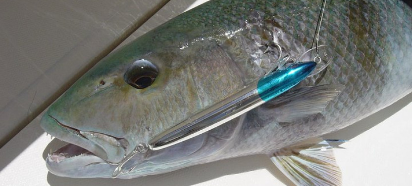 Private Shore Excursion - Big Game Fishing - Full Day From Mahe