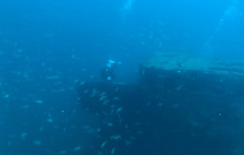 Panama City Diving4