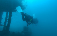 Panama City Diving1