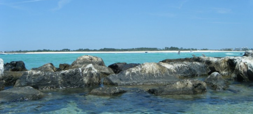 Guided Shore Dive