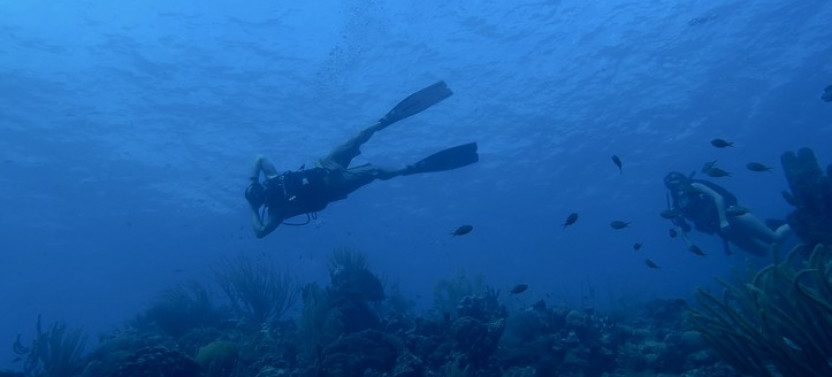 Deep Diver Specialty Course (130')