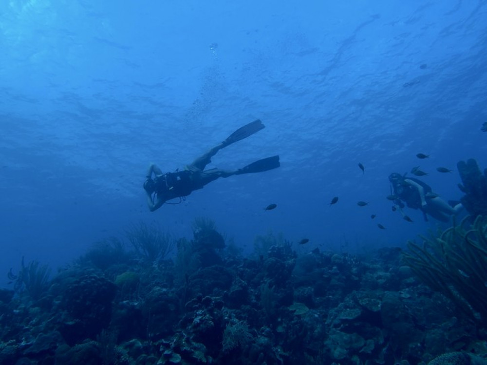 Panama City Diving