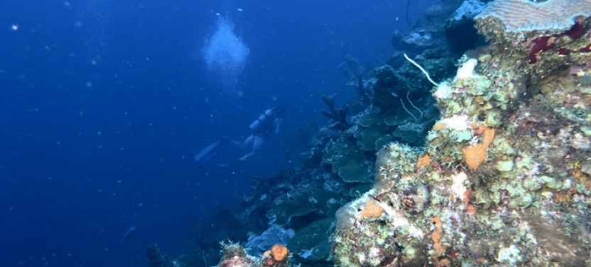 Deep Diver Specialty Course (130')