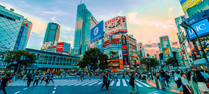 Shinjuku & Shibuya Walking Tour