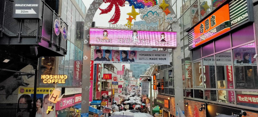 Shinjuku & Shibuya Walking Tour