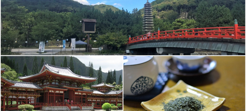 Private Tour: Japanese Tea And Beyond In Uji