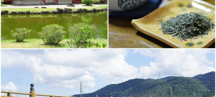 Private Tour: Japanese Tea And Beyond In Uji