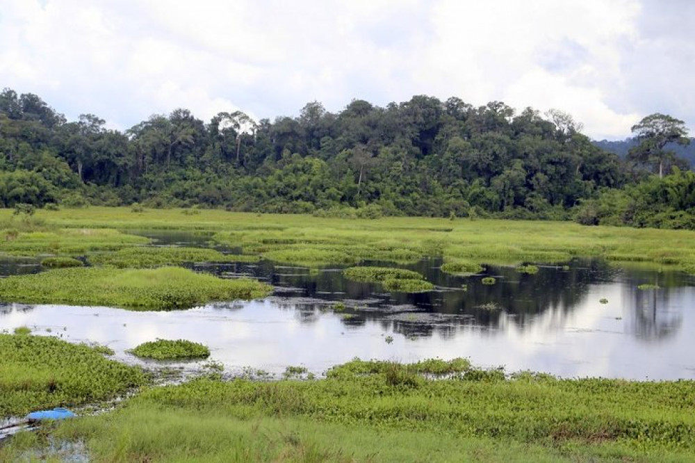 Nam Cat Tien National Park Ho Chi Minh City Project Expedition