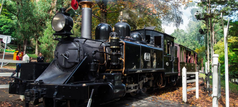 Puffing Billy and Healesville Sanctuary Scenic Bus Tour