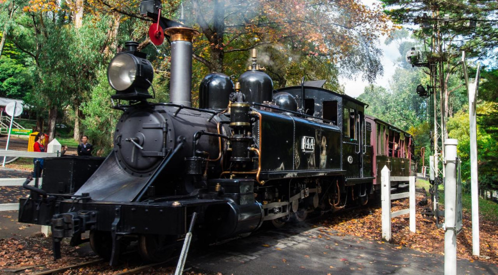 Puffing Billy and Healesville Sanctuary Scenic Bus Tour