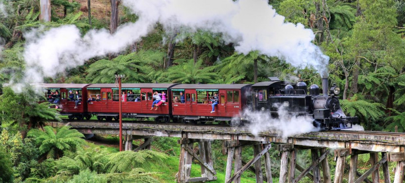 Puffing Billy and Healesville Sanctuary Scenic Bus Tour