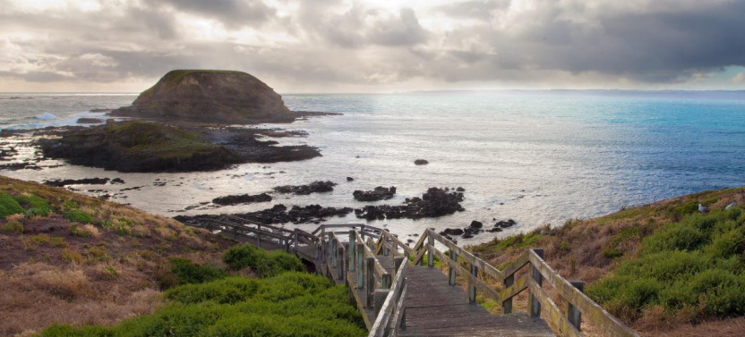 Phillip Island Wildlife and Brighton Beach Boxes Bus Tour