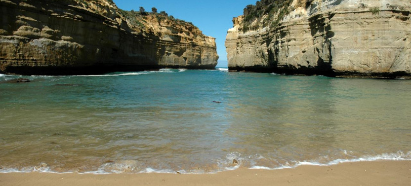 Great Ocean Road Private Car + 12 Apostles, Forest Walk, Koalas