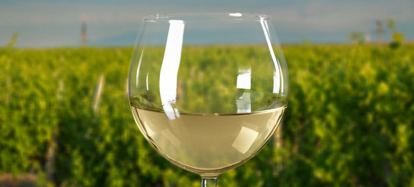 Yarra Valley Winery Private Car Tour + Lunch with a Glass of Wine