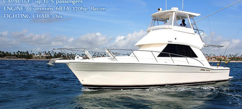 Private Offshore Deep Sea Fishing Charter - Gone Dog 37'