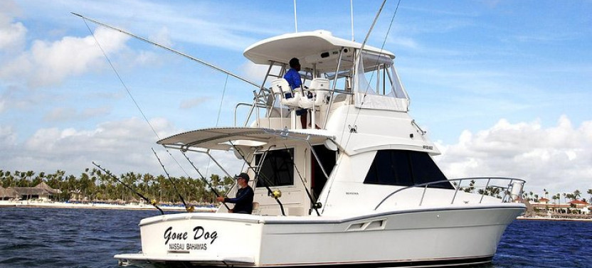 Private Offshore Deep Sea Fishing Charter - Gone Dog 37'