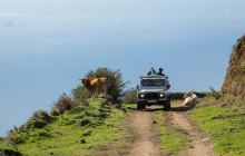 Madeira Mountain Expeditions1