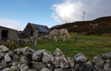 Wild Atlantic Way Day Tours4