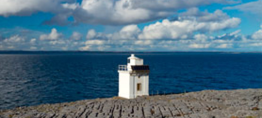From Galway: Cliffs Of Moher & Burren Day Tour