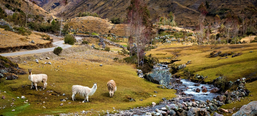Lares Trek To Machu Picchu 4 Days