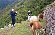 Inca Trail Luxury Tour 4 Days