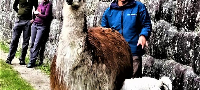 Private Guide For Machu Picchu - 3 Hours