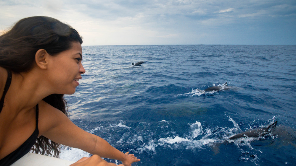 Huatulco: Sunrise boat tour