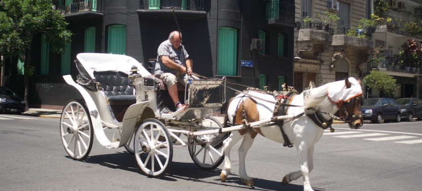 Asado Experience and Street Art Tour in Palermo Viejo