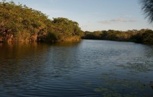 New River (Belize)