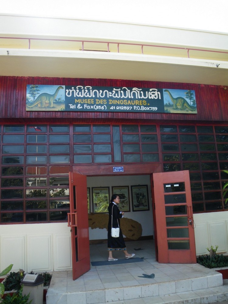 Dinosaur Museum