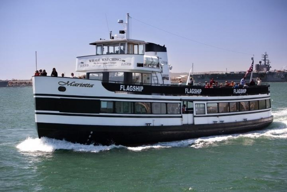 San Diego Whale Watching Cruise