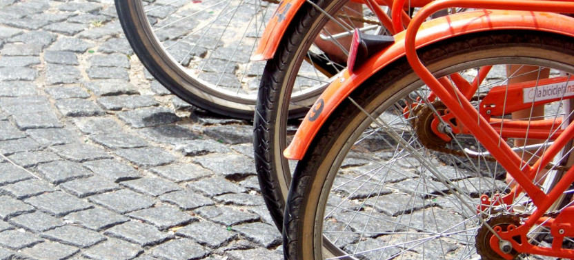 Southern Neighborhoods Bike Tour